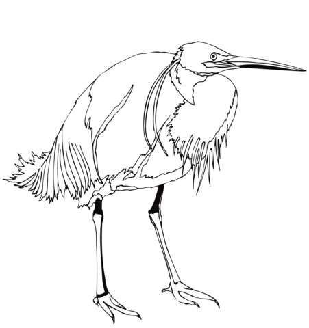 Lonely Egret Coloring Page